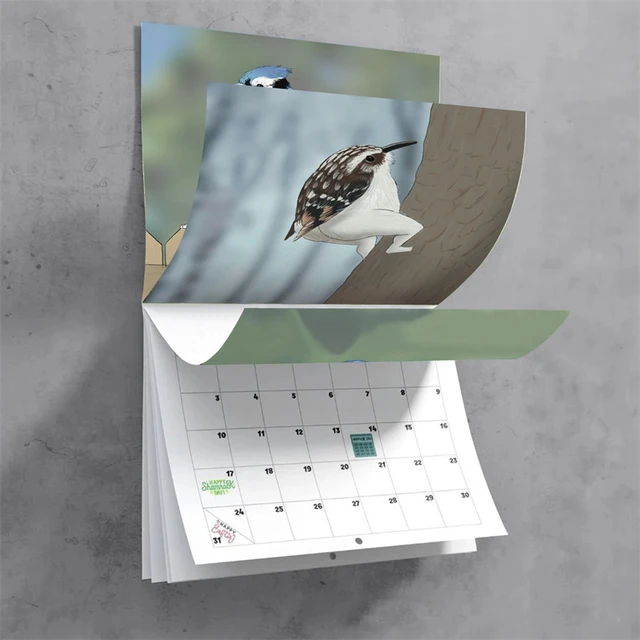 Paper Extremely Accurate Birds Wall Calendar Wall Calendar New Year's Gifts  12 Monthly Birds Calendar Planner Time Planning - AliExpress