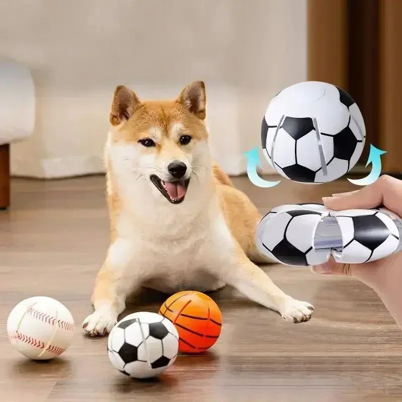 https://ae01.alicdn.com/kf/Sff817e4b73974ddaa440067dd36e6909Z/Dog-Toy-Ball-Flying-Saucer-Ball-Dog-Throwing-Flying-Disc-Interactive-Pet-Toys-for-Dogs-Puppy.jpg