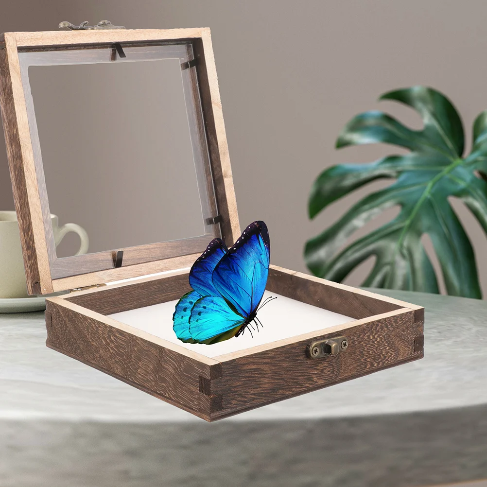 Acrylic Wood Specimen Display Box display case Vintage Insect Case Transparent Lid Jewelry Storage Frame