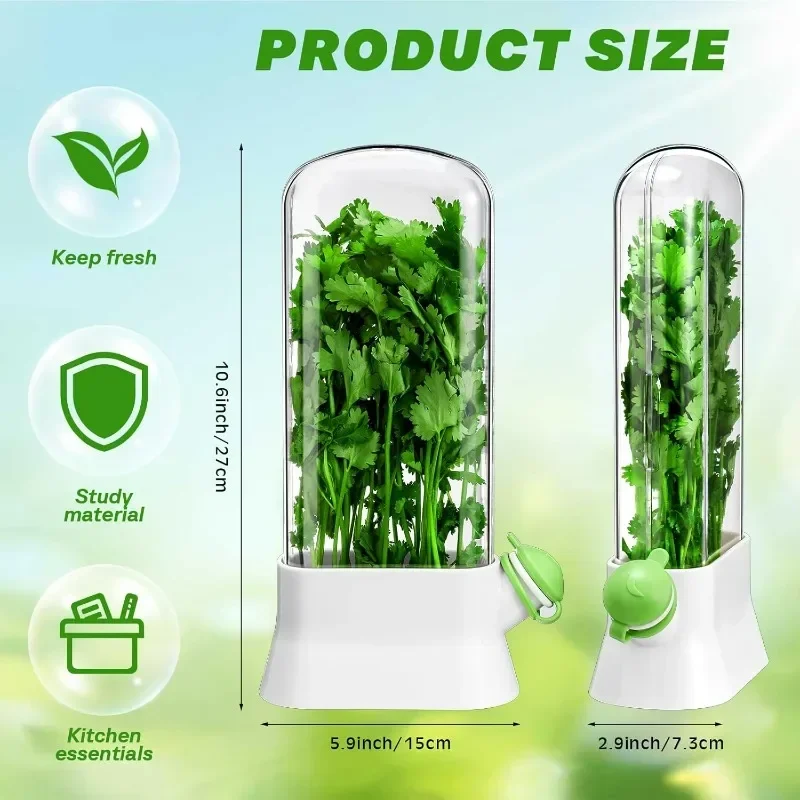 Saving Cilantro Container-Clear Herb Saver for Cilantro, Mint & Asparagus-Herb Savor Bottle Fresh Storage