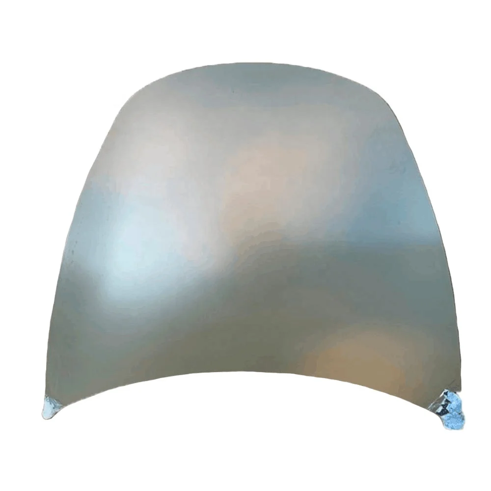 Car Hood for Tesal Model 3 OE NO. 1081390-E0-C
