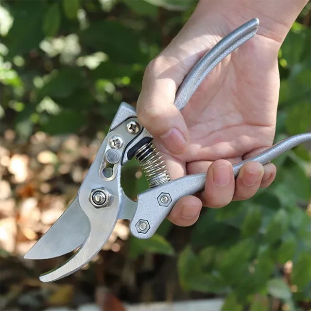 Garden Scissor Orchard Branch Shear Fruit Tree Pruning Shears Garden Pruning Shears Bonsai Plant Trim Grafting Tool 2