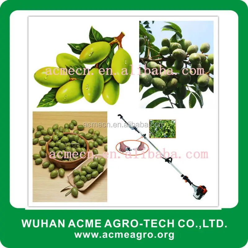 Garden Tool Fruit Picker For Used Olive Picker