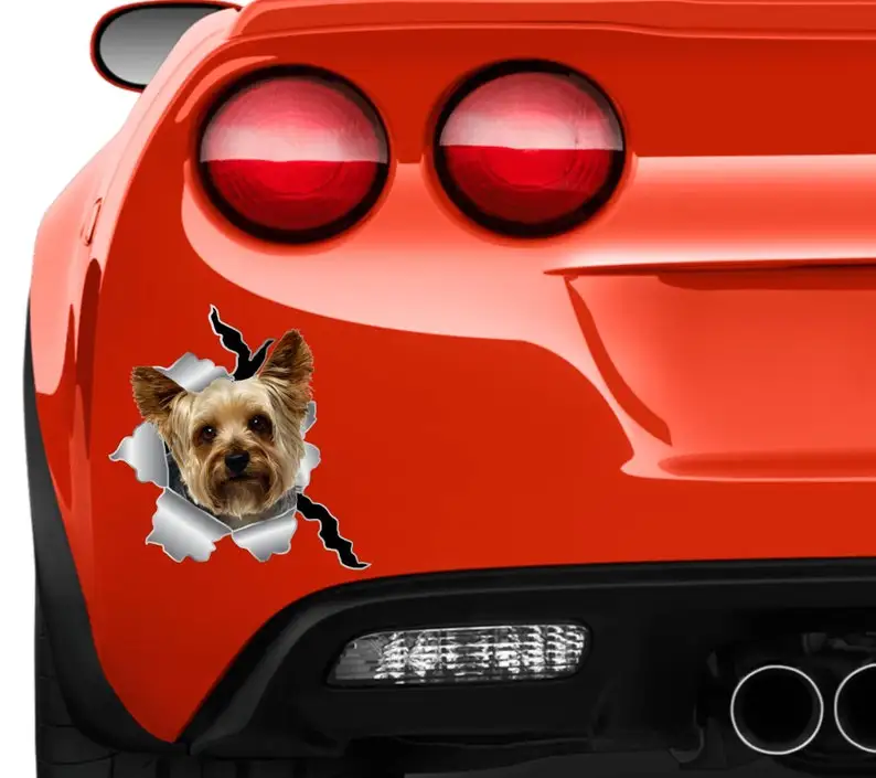 Lady Cat Decor Yorkshire Terrier Yorkie Sticker Vinile Sticker Terrier Sticker Car Window Sticker Yorkie Vinyl Sticker York Dog S