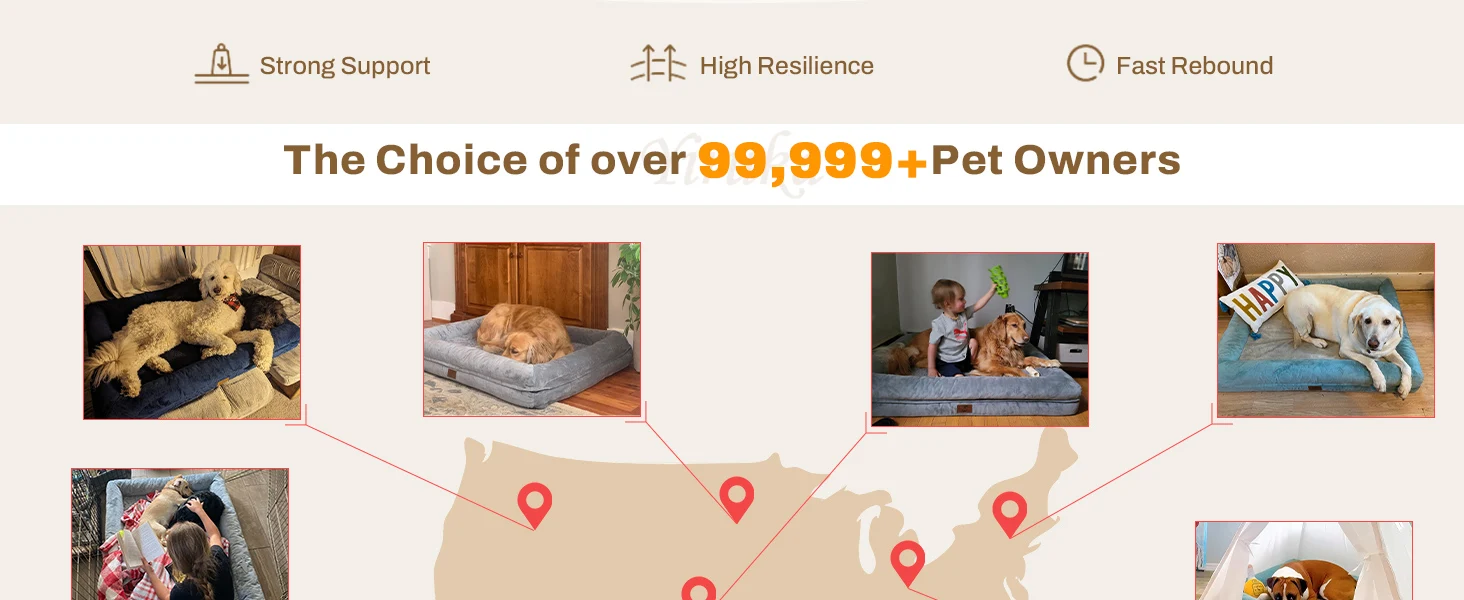 large dog bed with removable cover