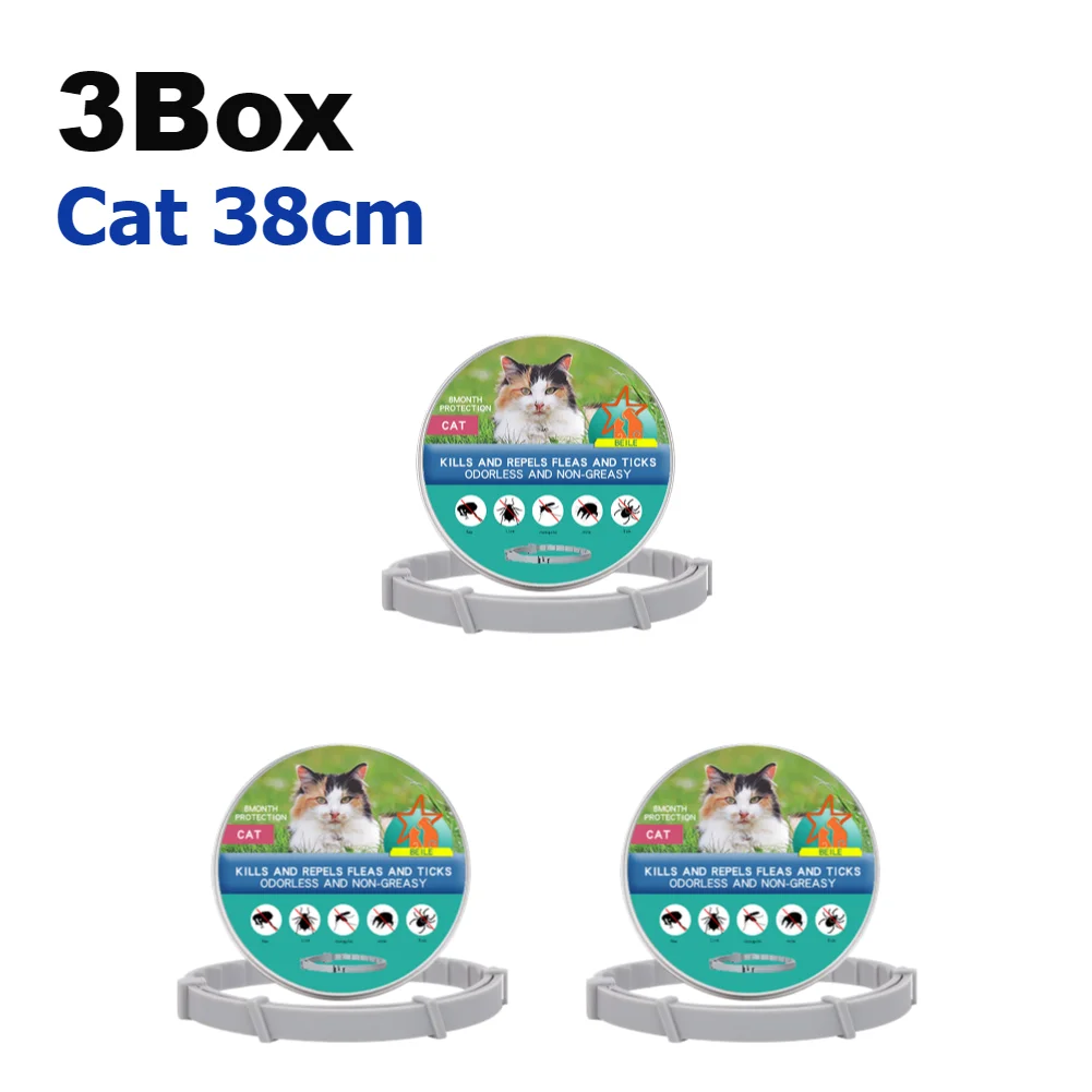 3Box Cat 38cm