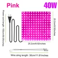 40W Pink