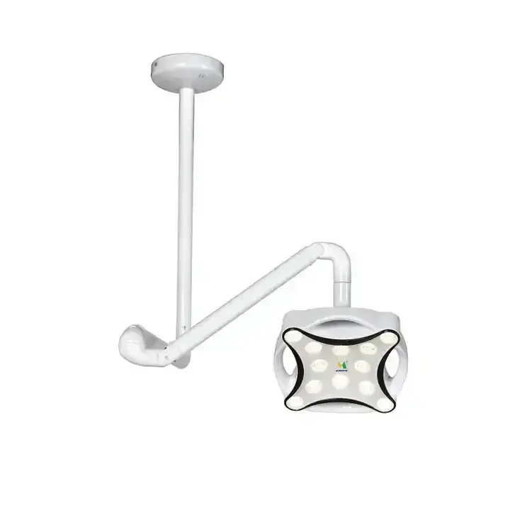 

LED Surgical Light Wall Ceiling Medical Bulb Oral Vet Examination Light for Medical Surgery Beauty VET