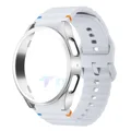 Light grey silver