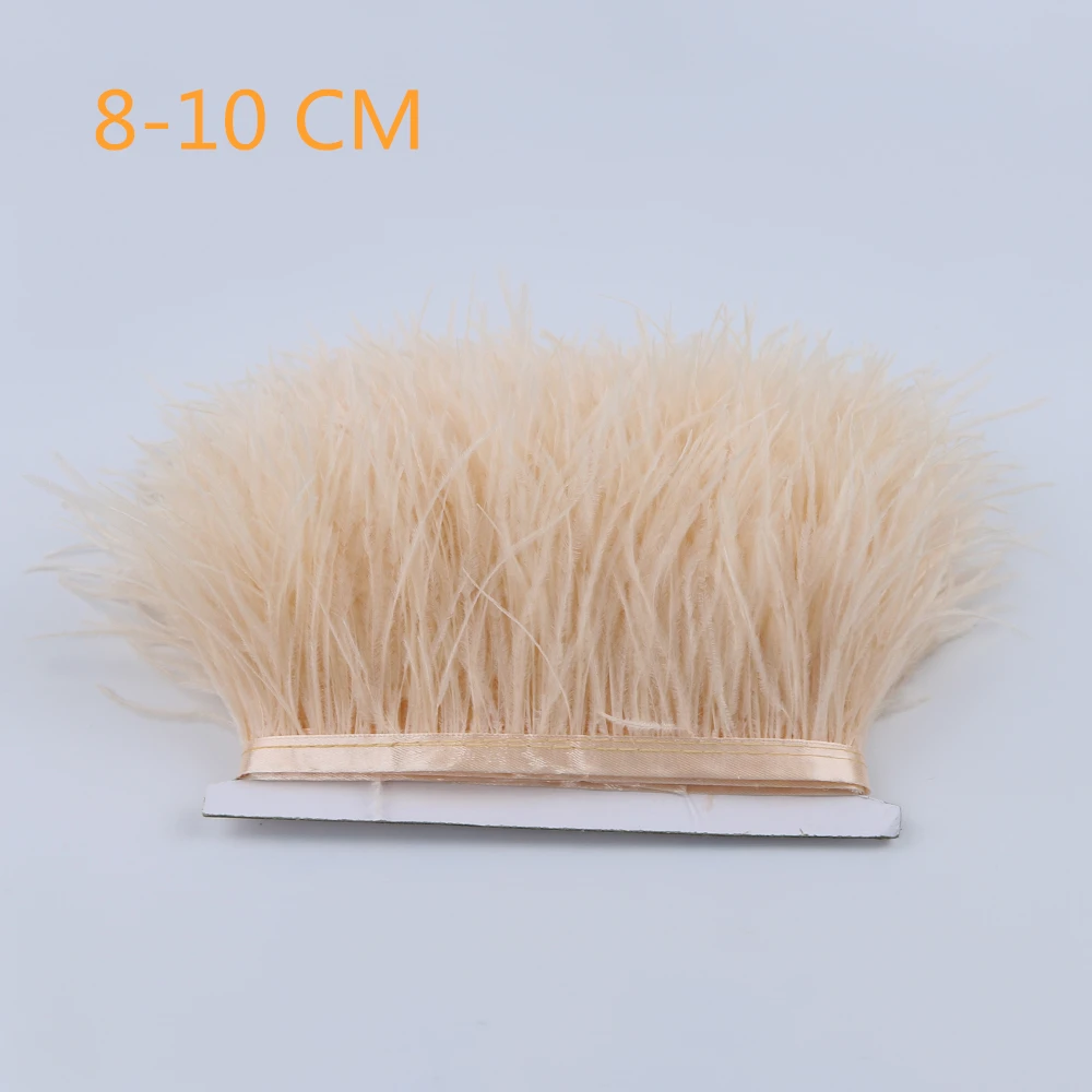 8-10cm champagne