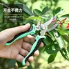 Horticultural Scissors Bird Beak Shape Branch Pruning Labor Saving Stainless Steel Picking Multi-functional Fruit Scissor  Tools 2