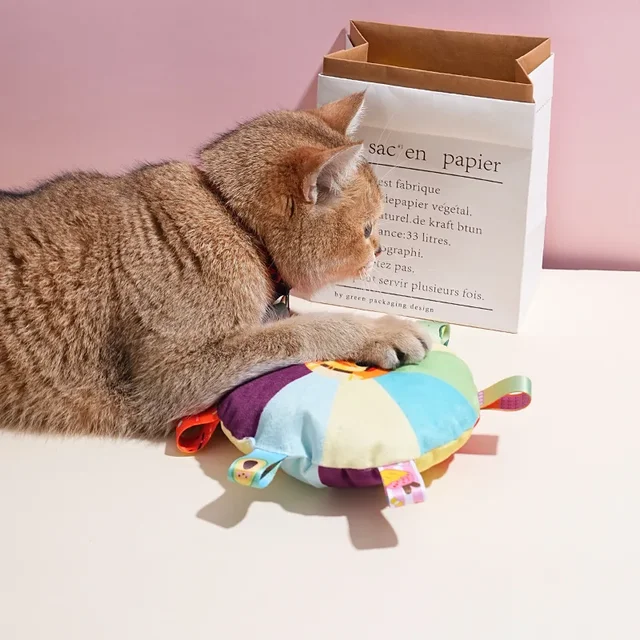 Flying Saucer Dog Toy 3
