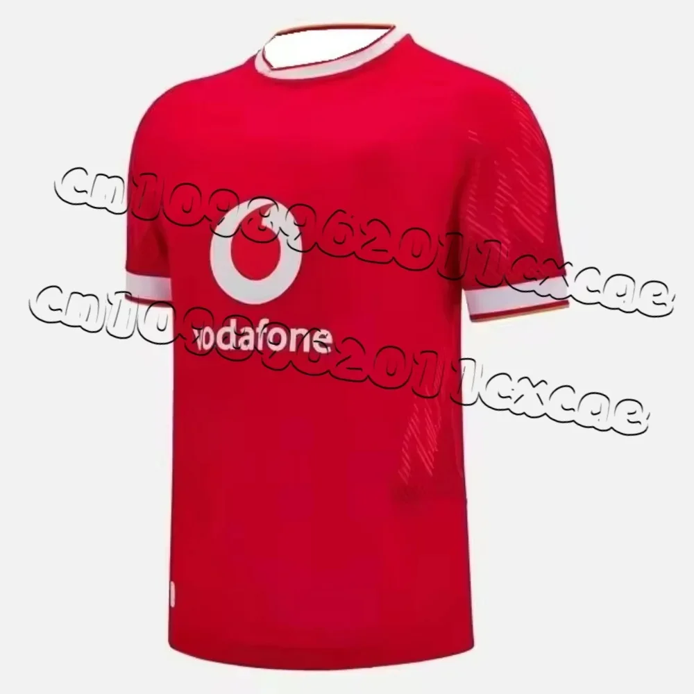 2025 Irish Rugby Sports Top Adult Children's Football Short Sleeve 3DQuick Dry Large Size High Quality Men's and Women's T-shirt view 4