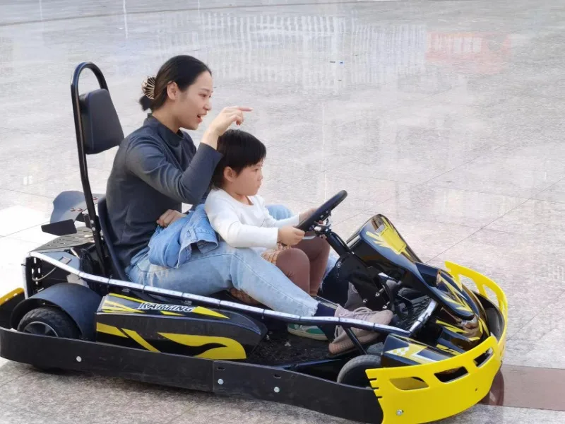 Parent-child Go-karts, Recreational Vehicle or Outdoor Toy, New Design, Fun, Sturdy Frame, High-Speed, For Family Fun