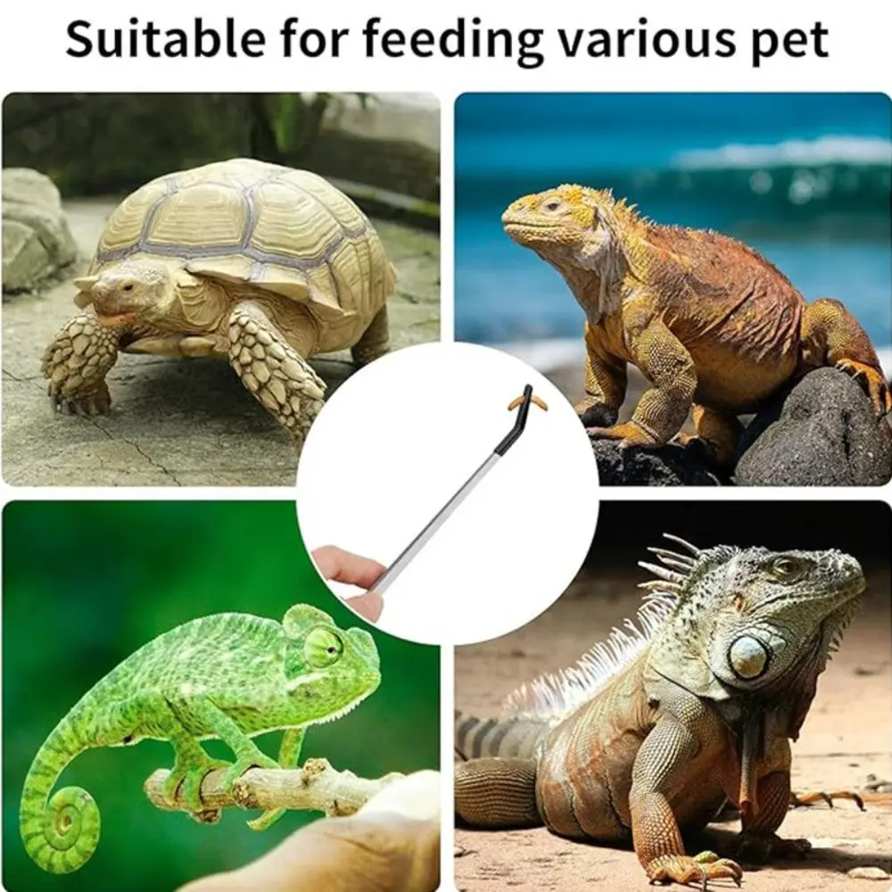 2Pcs Stainless Steel Aquarium Feeding Tweezers 27CM Non-slip Lizard Feeding Tweezers Straight and Curved with Rubber Head