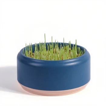 Catnip Grass Hairball Treat Box 1