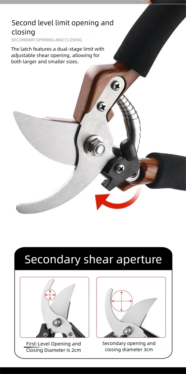 Sff979cbcf3de479f8e80d4e998dc3924r.png
