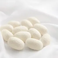 Couette d'hiver de luxe 5 kg, 100% soie de mûrier, noyau épaissi, housse en coton pour le printemps, l'automne, couverture de maison, chaleur 5