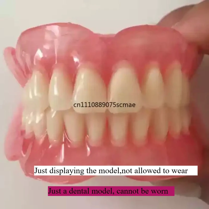 Wholesale full mouth denture sample models and elderly full mouth and half mouth tooth models are available