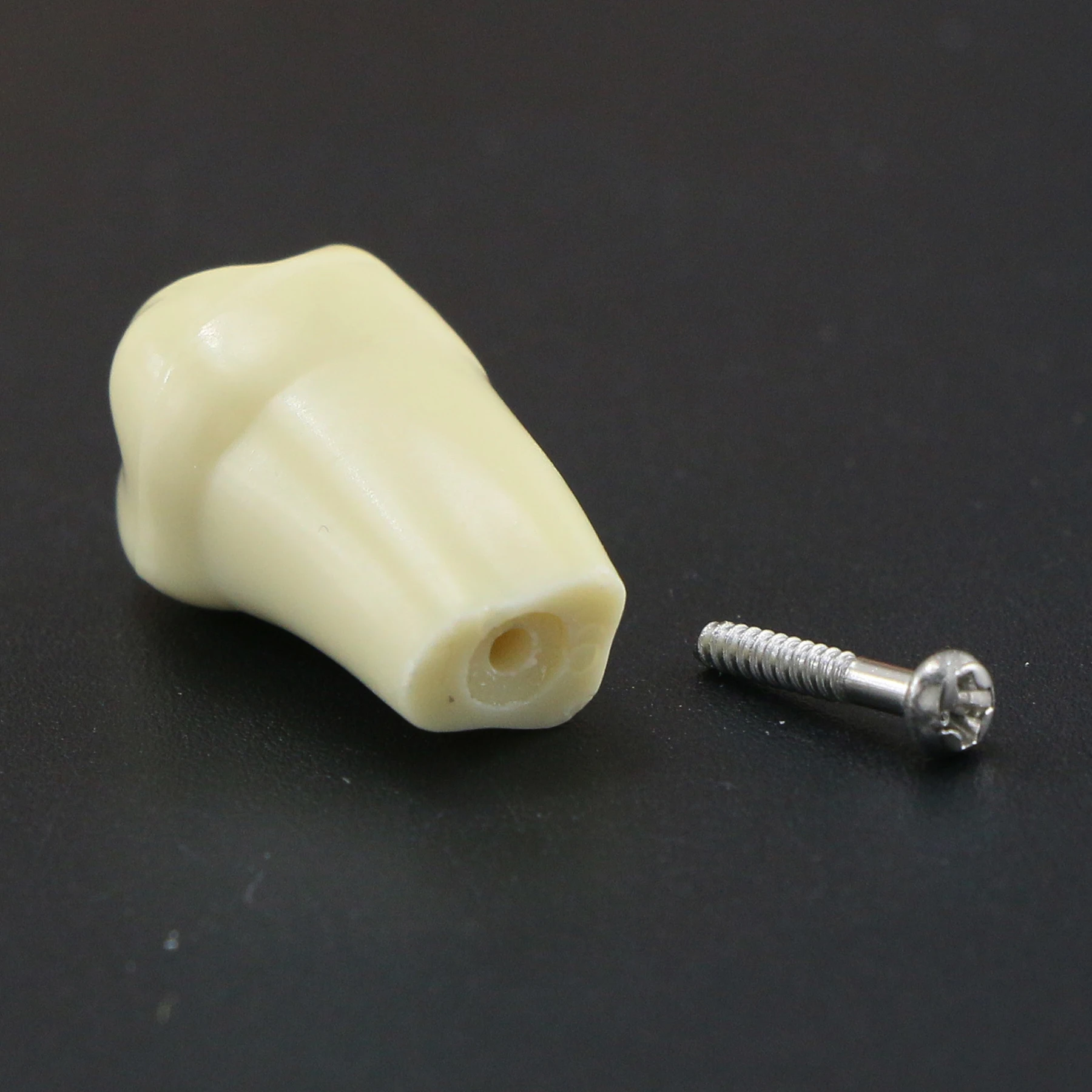 10Pcs Dental Replacement Screw-in Teeth Model Typodont Practice Filling Restoration Fit Frasaco Jaws AG3 Model With 32Pcs Teeth 6
