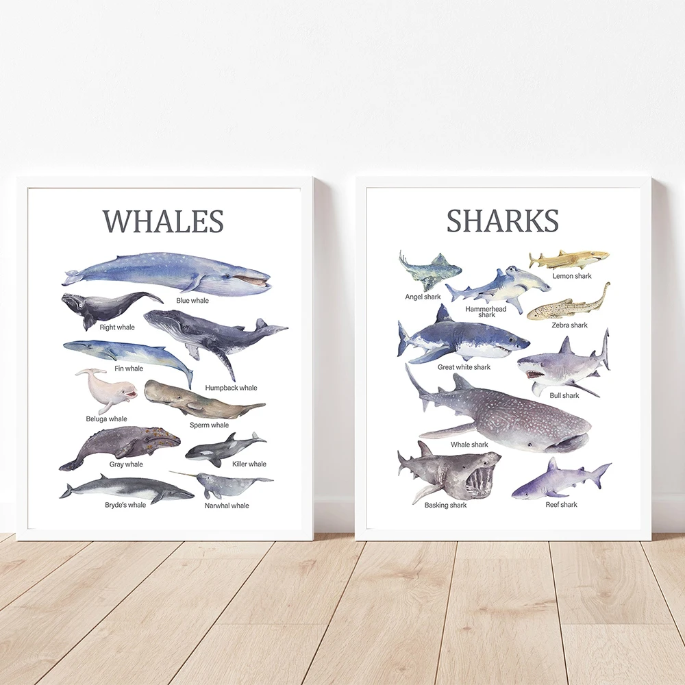 Squali Balene Nursery Wall Art Canvas Painting Nordic Poster E Stampe Animal Wall Pictures For Baby Kids Room Home Decoration
