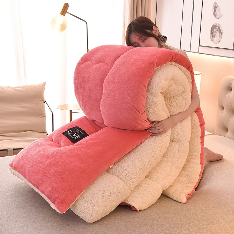 2023 Super Warm Lamb Wool Quilt Winter Thickened Cotton Quilt Warm Cotton Double sided Velvet Soft Extra Large Blanket