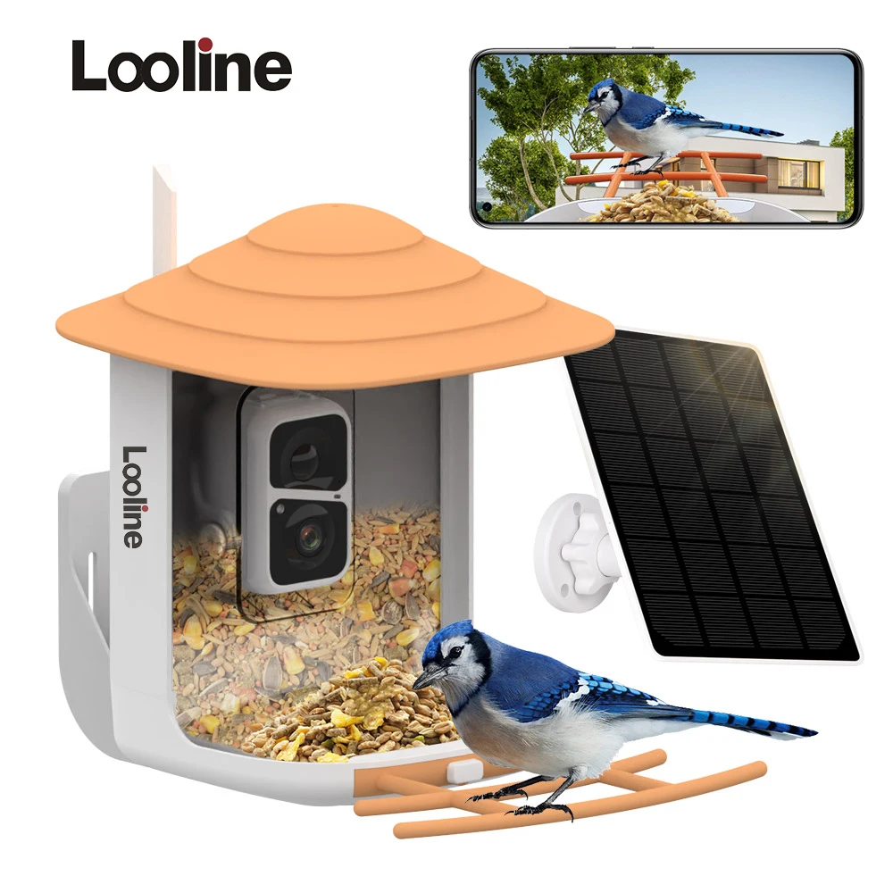 New Bird Feeder With Camera Bird Feeders House Watching Camera Wireless WiFi Bird Camera For Outdoor AI Recognition Bird Species