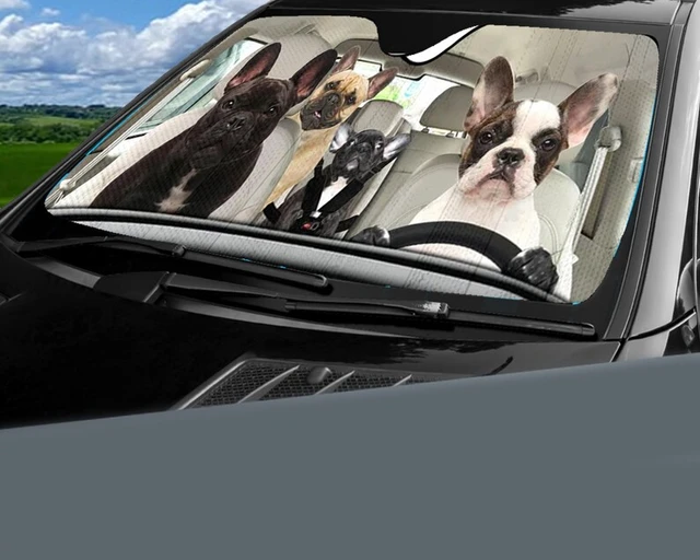 Französisch Bulldog Familie Fahren Auto Sonnenschirm, Hunde Auto  Sonnenschutz, Auto Auto Sonnenschutz, Auto Windschutzscheibe, auto Zubehör,  hund liebhaber - AliExpress