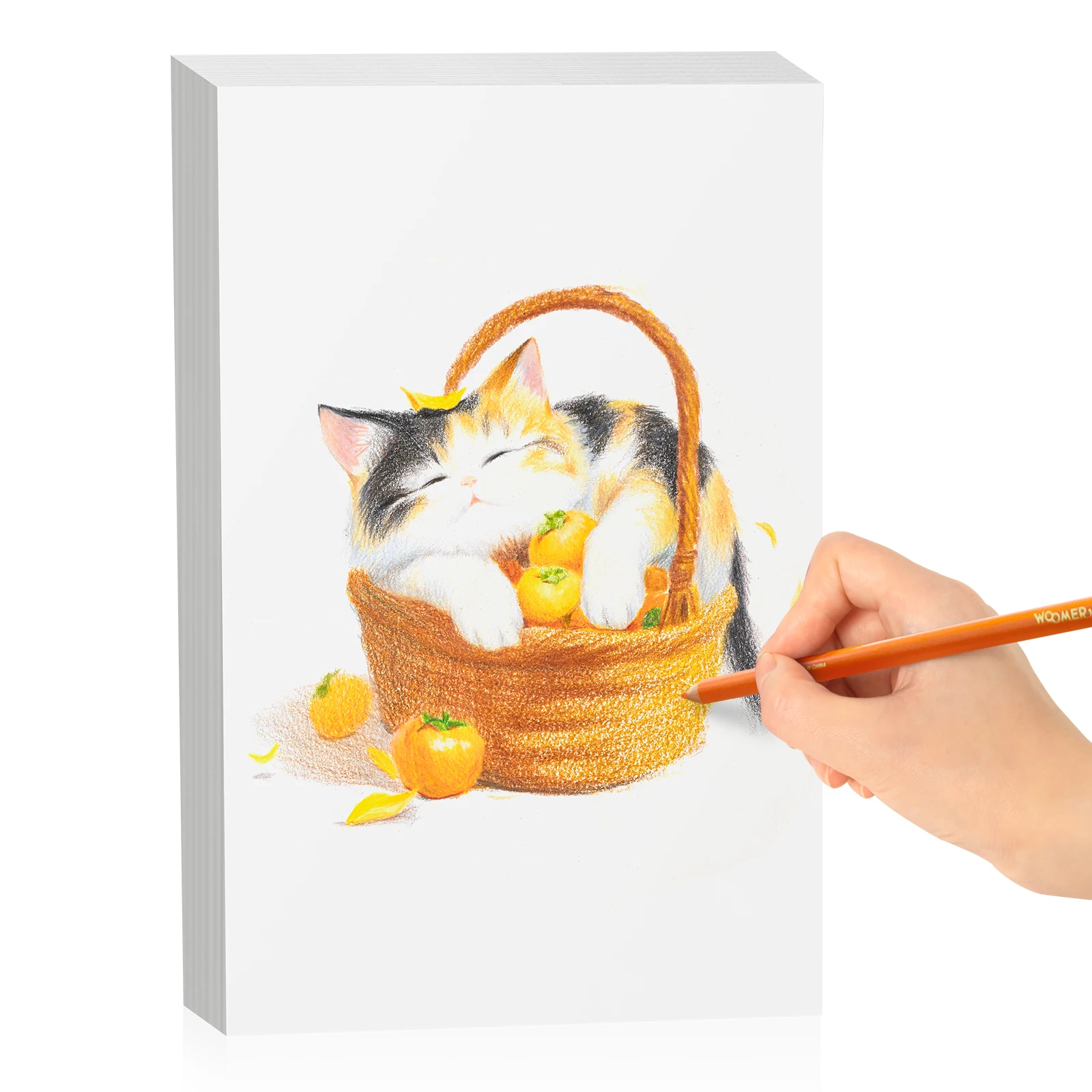 우머 100% 면 수채화 용지 ? 5x7 32K 20매 그림책 그림 용품 학생 학교 용품