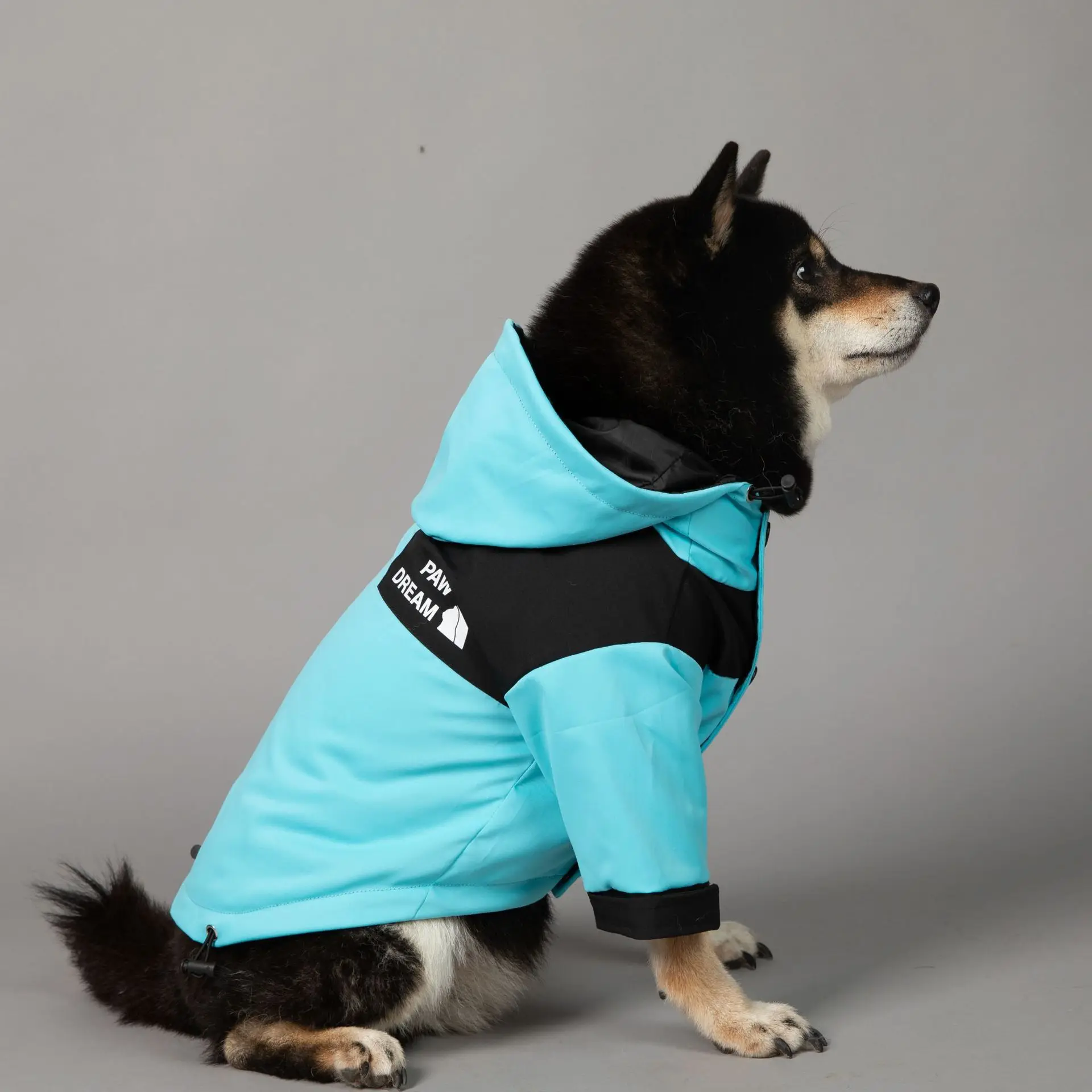 PawDream 럭셔리 강아지 야외 재킷 애완동물 방수 의류 M-5XL 플러스 사이즈 강아지 비옷 디자이너 후드 재킷