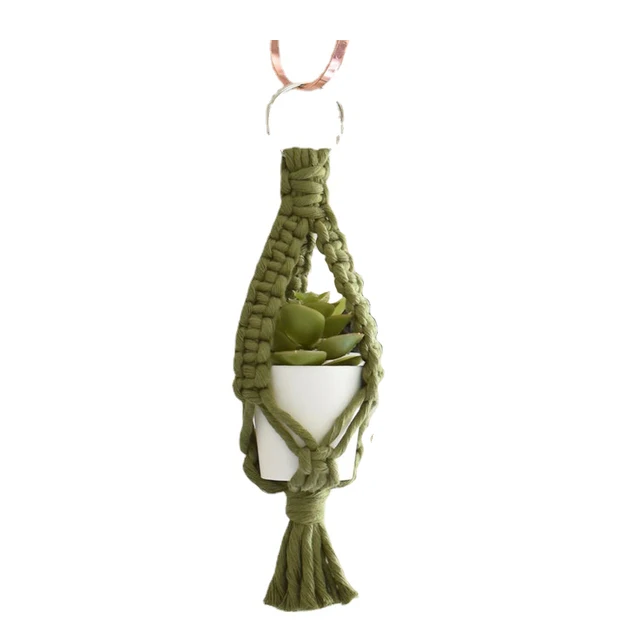 Air Plant Holder 06