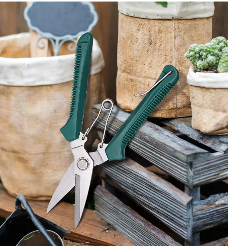 Sffa17e1678704e649fc1247cd4ead0049