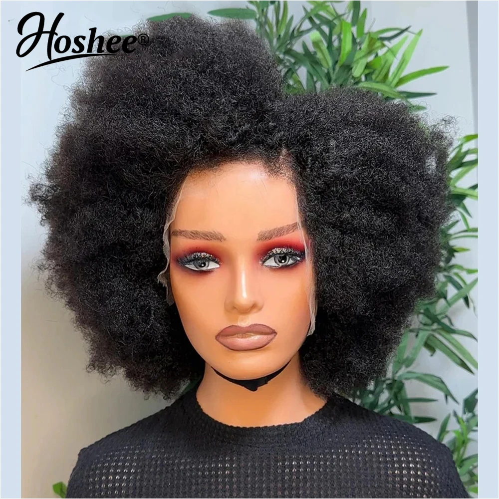 Afro Kinky Curly 13x4 Lace Front Human Hair Wigs High Density 4x4 Lace Closure Wig Preplucked Brazilian Curly Wig 250% Remy Hair