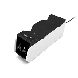 Dual USB - C Fast Charging Dock with LED Indicator Lights (SND - 462)
