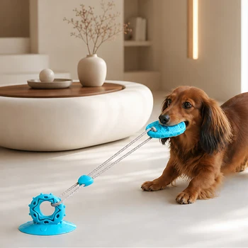 Suction Cup Dog Chew Toy 2