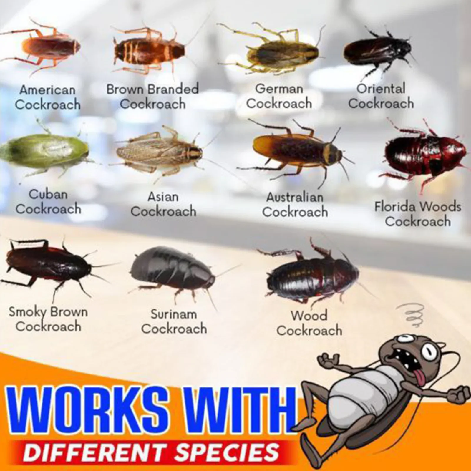 Cockroach Bait for Cleaning Indoor Kitchen Household Cockroach Bait