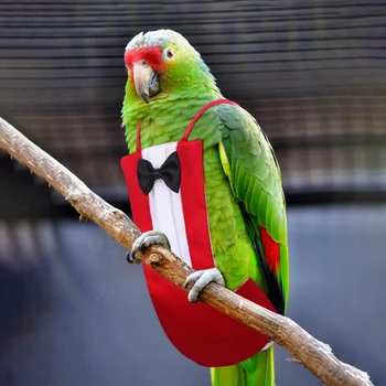 Diaper Parrot Suit 1