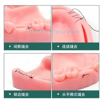 Kit de pratique de suture chirurgicale orale avec bloc de suture, modèle dentaire d'entraînement, module de formation en suture orale dentaire, 18 pièces/ensemble 4