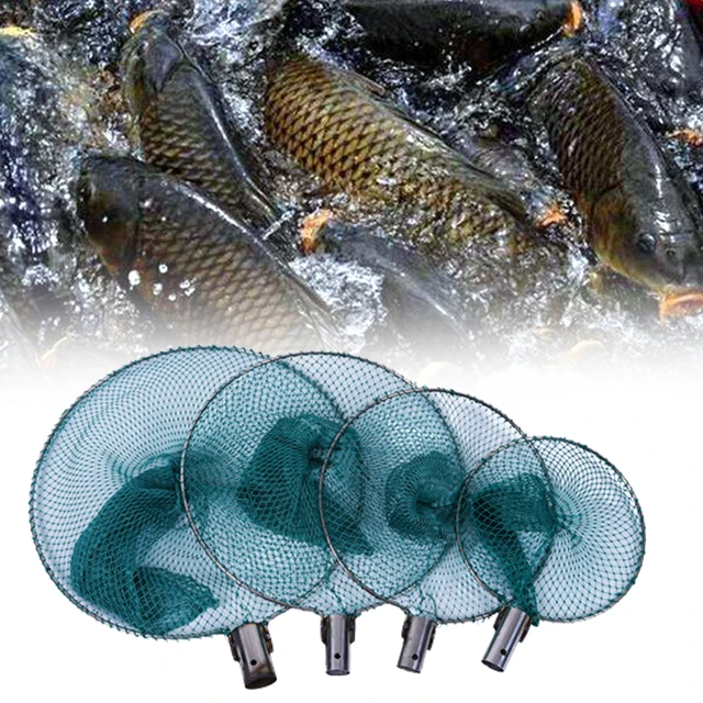 Dense Fishing Mesh Net Head Fishing Tackle Copying Net Head for  and Release 5