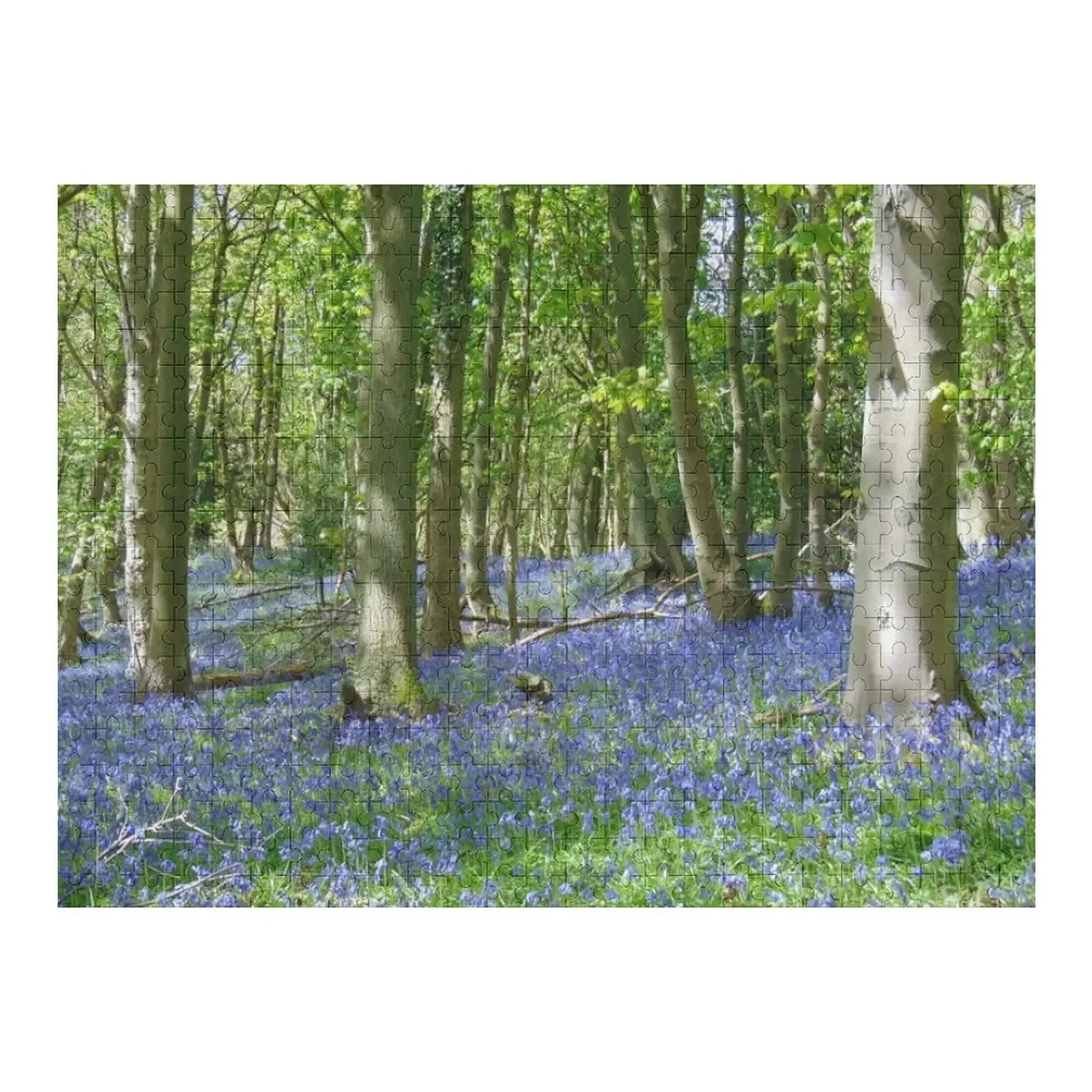 Bluebells Jigsaw Puzzle Personalized Kids Gifts Animal Puzzle