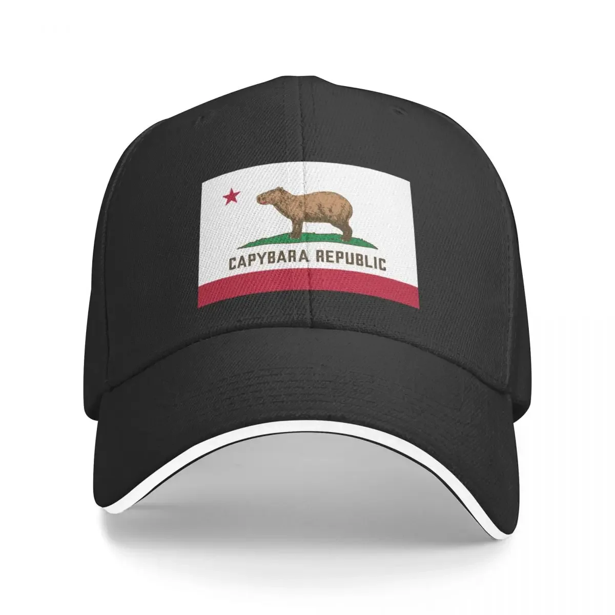 

Capybara Republic (on black) Baseball Cap Vintage Custom Cap Gentleman Hat Women Caps Men's