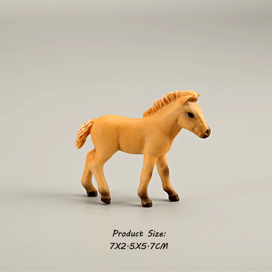 Horse 17