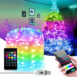 Bluetooth Smart LED String Fairy Lights 5V WS2812B Christmas Garland Light RGBIC Dream Color Waterproof IP67 for Party Holiday