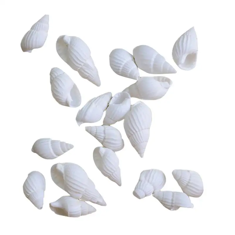 Natural Shell Ornaments 100pcs Mini Sea Shell Conches