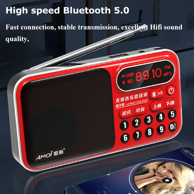 Mini Portable FM Radio LED Display Radios Receiver Wireless Hifi Sound Bluetooth Speaker Recorder Support USB Dual TF Card Play