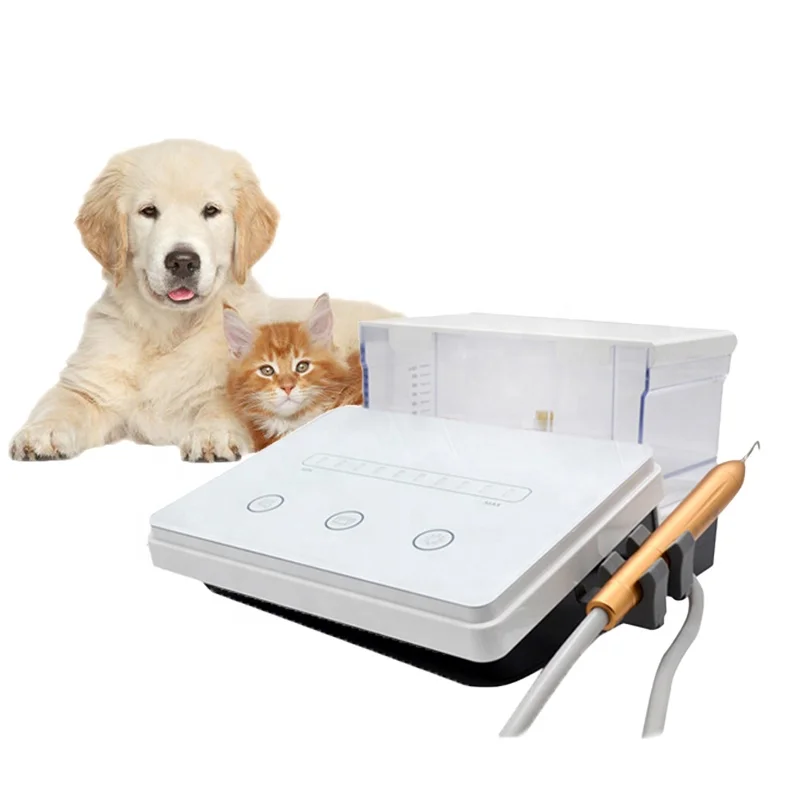 

Ultrasonic Den-tal Scaler Piezo Ultrasonic Portable Veterinary Den-tal Scaling Machine