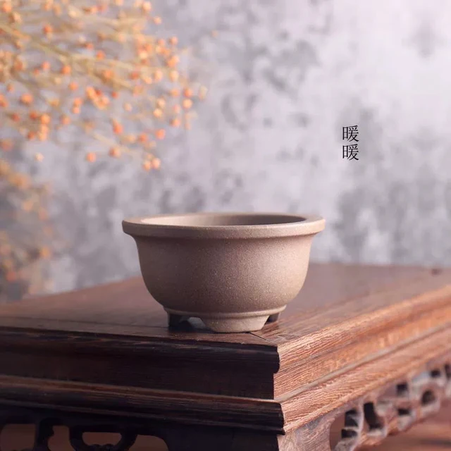 Lila Küldje El A Bonsai Pot Hagyományt Faragott Pozsgás Növények Kerti Dekoráció - Image 2