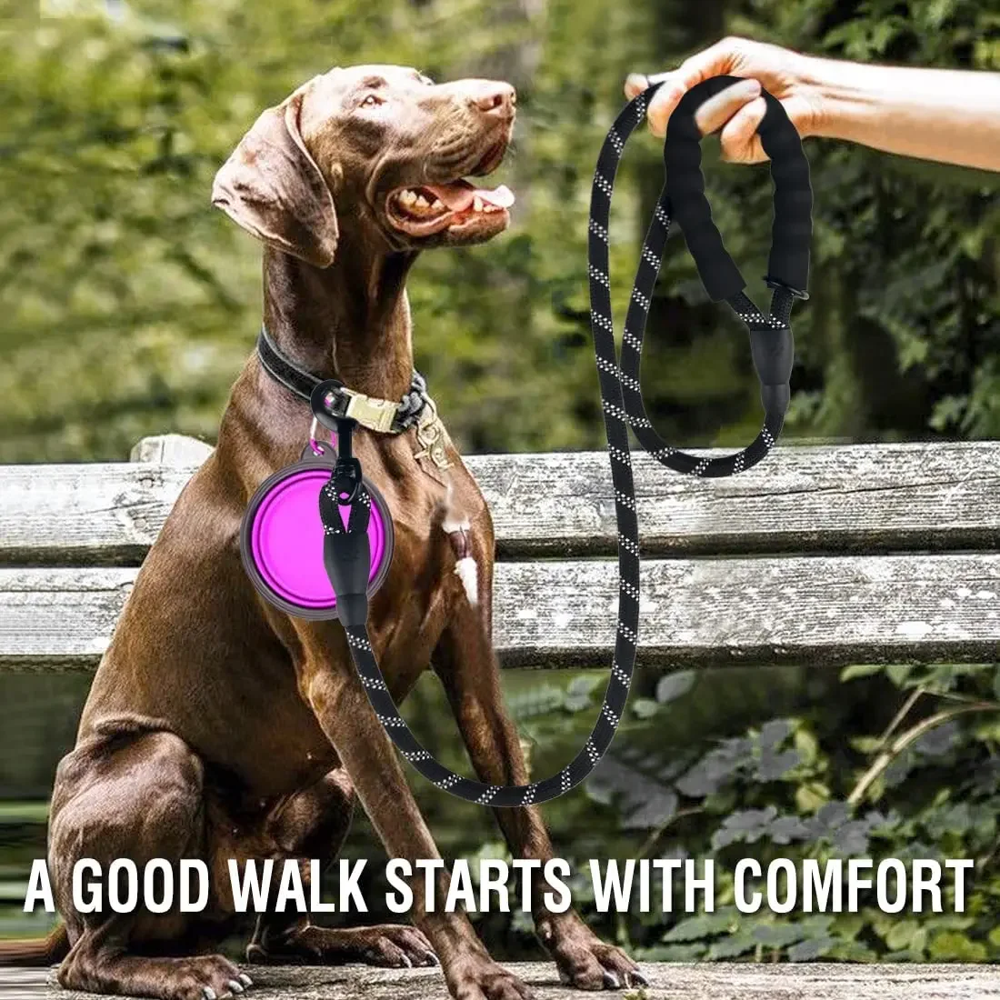 Guinzaglio Elastico Riflettente Per Cani 1,8 M – Doppio Manico, Con Dispenser Per Sacchetti, Ideale Per Taglia Grande