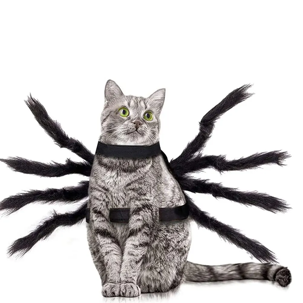Pet Cat Spider Costume Dog Fancy Dress Costume Pet Halloween Spider Belt Decor Halloween