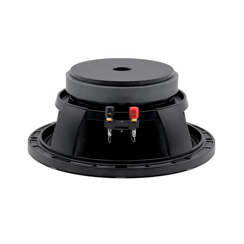 T-R10K260 10 Inch Pro Sound Equipment Midbass Ferrite 1000W 10'' Woofer Speaker